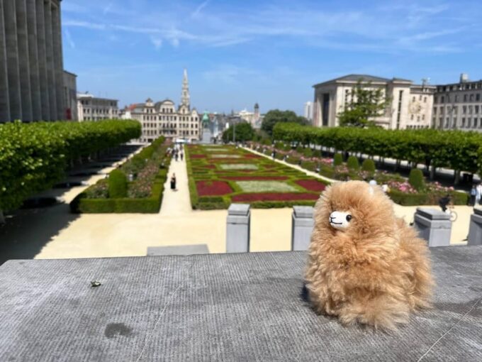 Brussels Day Trip From Paris or Amsterdam by Mini-Van - Live Tour Guide and Languages