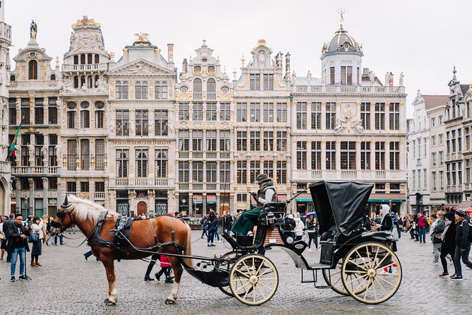 Brussels Half Day Tour With a Local Guide, Private & Custom - Meeting Point and Logistics