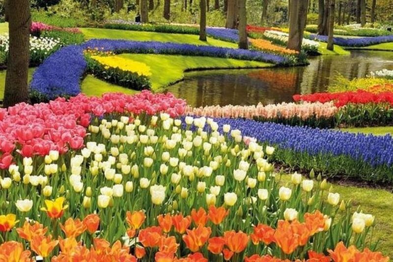 Brussels: Keukenhof, Tulips, and Delft Day Trip - Important Notes