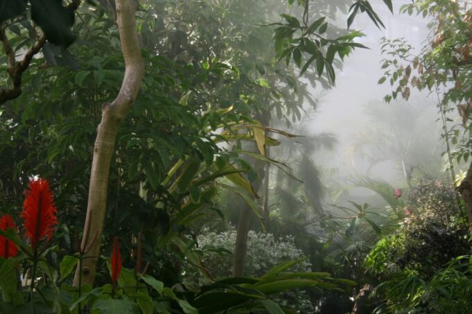 Brussels: Meise Botanic Garden Entry Ticket - Reserving Your Visit