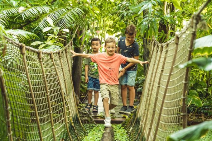 Brussels: Meise Botanic Garden Entry Ticket - What to Expect at the Garden