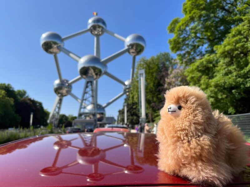 Brussels Private Guided Day Tour From Paris With Tastings - Explore EU Capital