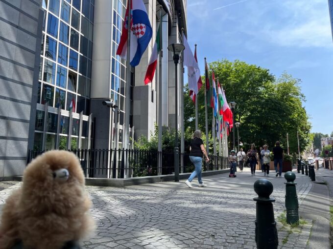 Brussels Private Guided Day Tour From Paris With Tastings - Frequently Asked Questions