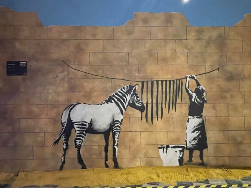 Brussels: The World of Banksy Museum Permanent Exhibition - Visitor Experience and Accessibility