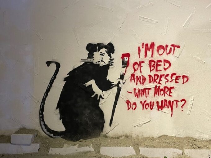 Brussels: The World of Banksy Museum Permanent Exhibition - Exhibition Availability and Booking