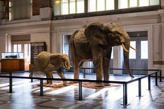 Brussels: Train World Museum Entrance Ticket - Reservation and Cancellation Policy