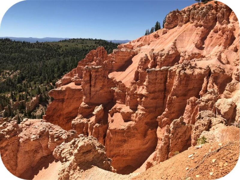 Bryce Canyon: 2-Hour 4-Seat Side-by-Side OHV Rental - Local Wildlife Encounters