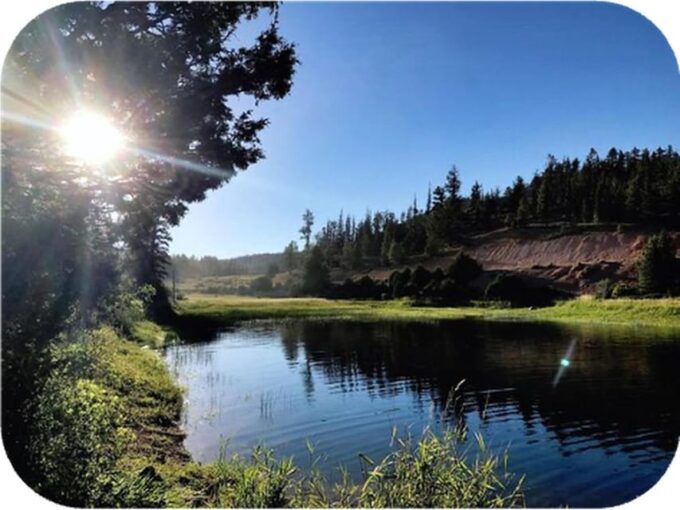 Bryce Canyon: 2-Hour 4-Seat Side-by-Side OHV Rental - Driver and Rider Requirements