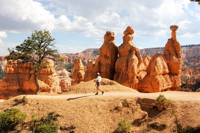 Bryce Canyon and Zion National Park Day Tour From Las Vegas - Checkerboard Mesa Geologic Formation