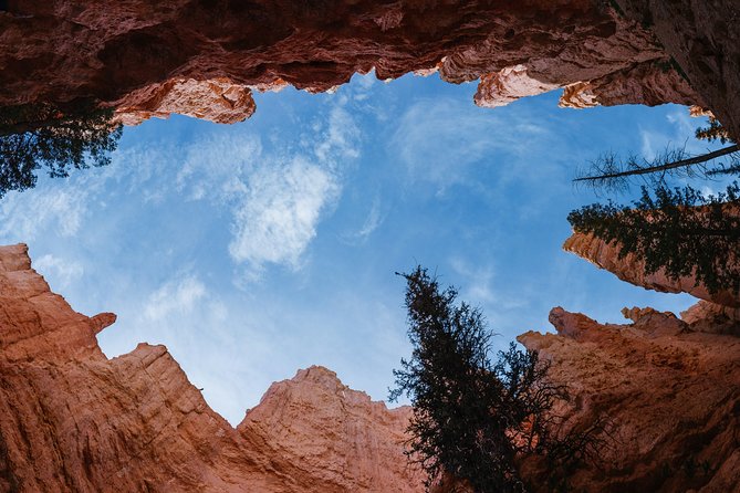 Bryce Canyon and Zion National Park Day Tour From Las Vegas - Tour Confirmation and Accessibility