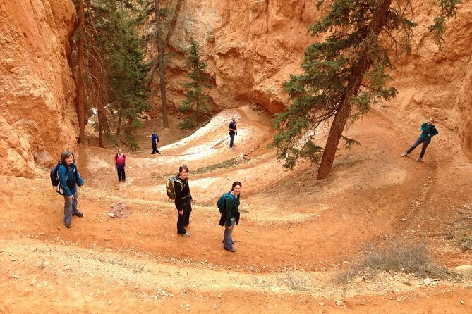 Bryce Canyon and Zion National Park Tour in Las Vegas - Meeting and Pickup Options