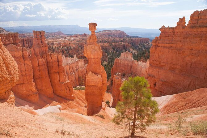 Bryce Canyon and Zion National Park Tour in Las Vegas - Accessibility and Participation