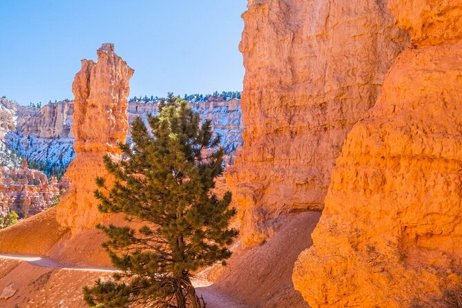 Bryce Canyon and Zion National Park Tour in Las Vegas - Exploring Bryce Canyon and Zion
