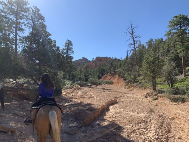 Bryce Canyon City: Horseback Riding Tour in Red Canyon - What to Bring and Not Allowed