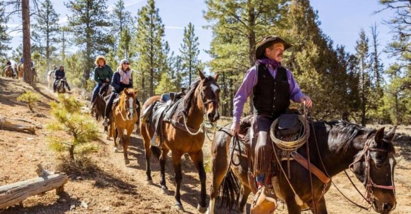 Bryce Canyon City: Horseback Riding Tour in Red Canyon - Customer Feedback and Ratings