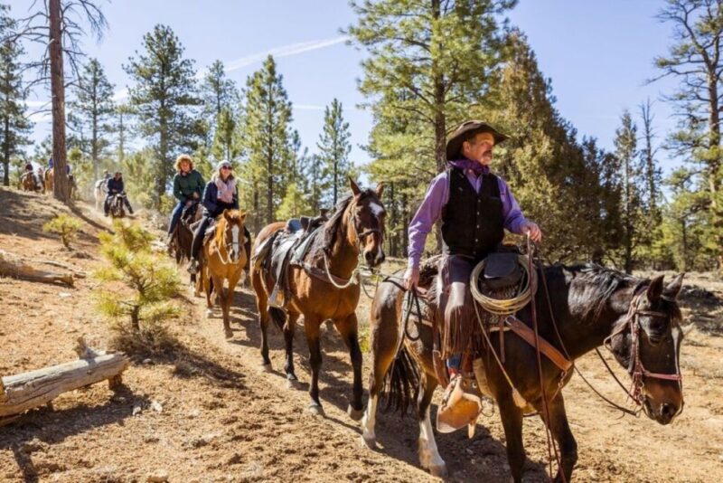 Bryce Canyon City: Horseback Riding Tour in Red Canyon - Frequently Asked Questions