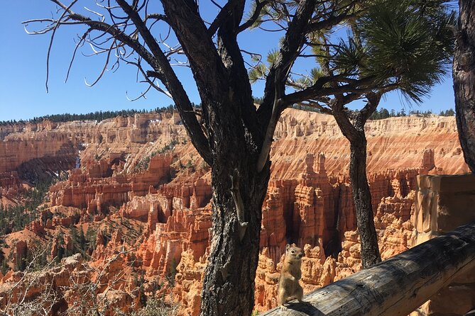 Bryce Canyon E-bike Tour - Cancellation Policy