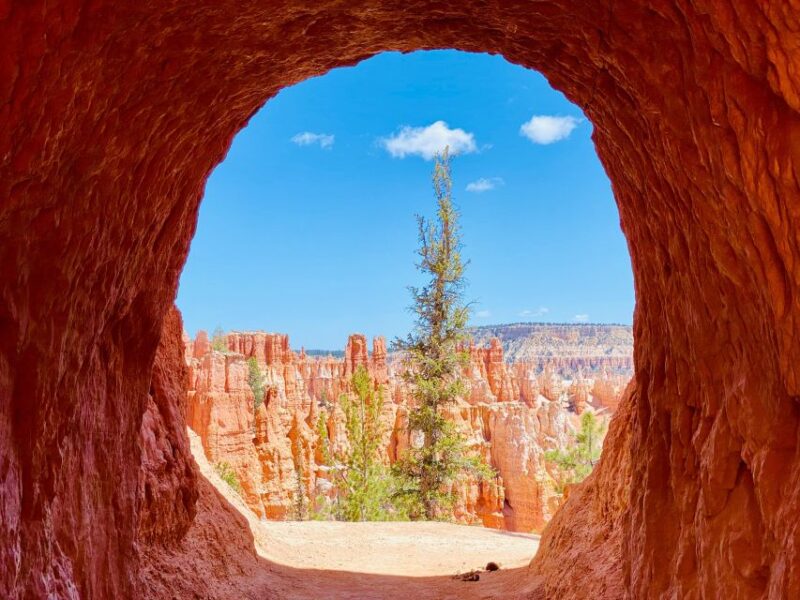Bryce Canyon National Park: Guided Hike and Picnic - Itinerary Highlights