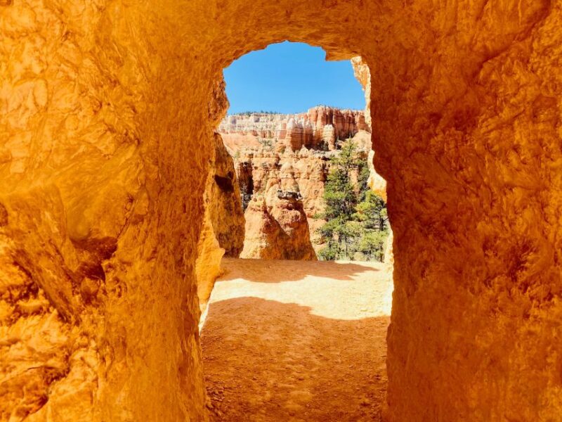 Bryce Canyon National Park: Guided Hike and Picnic - Picnic Details