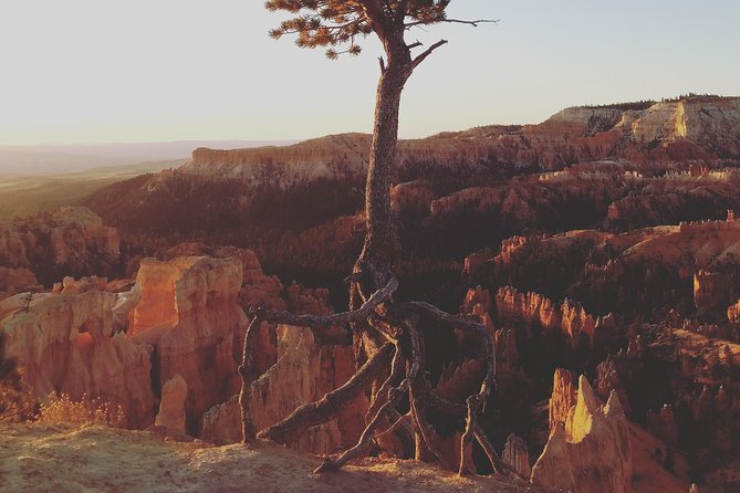 Bryce Canyon National Park: Private Guided Hike & Picnic - Included Amenities and Provisions