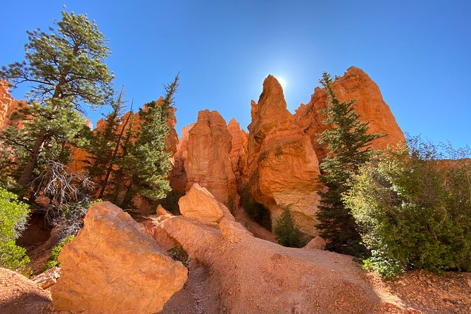 Bryce Canyon National Park: Private Guided Hike & Picnic - Safety Restrictions and Guidelines
