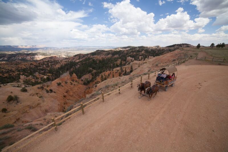 Bryce Canyon National Park: Scenic Wagon Ride to the Rim - Reviews and Customer Feedback