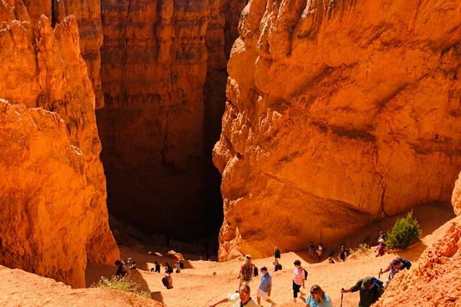 Bryce Canyon & Zion National Parks Day Tour From Las Vegas With Lunch - Hiking the Rim Trail in Bryce Canyon
