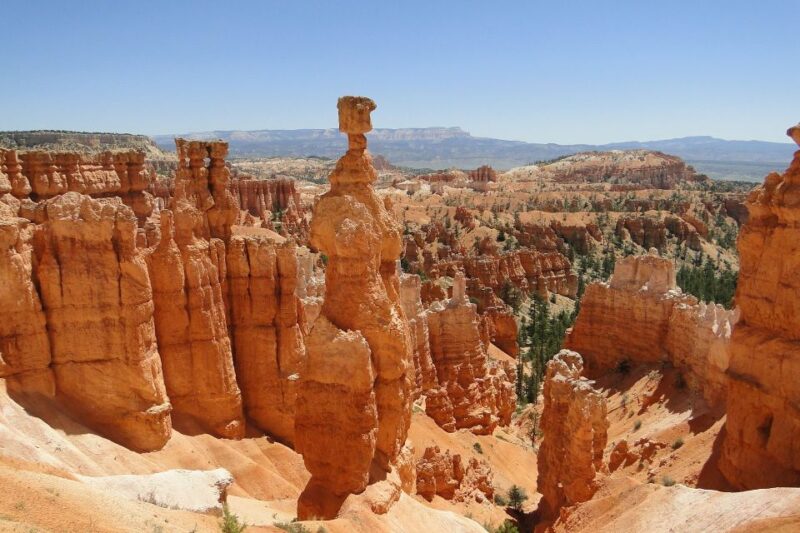 Bryce: Guided Sightseeing Tour of Bryce Canyon National Park - Tour Experience