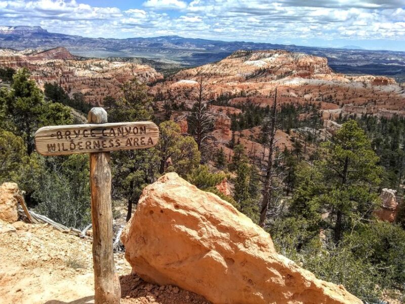 Bryce: Guided Sightseeing Tour of Bryce Canyon National Park - Activities
