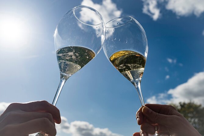Bubble Champagne Tour From Epernay (Small Group Half Day Tour) - Guest Experiences and Reviews