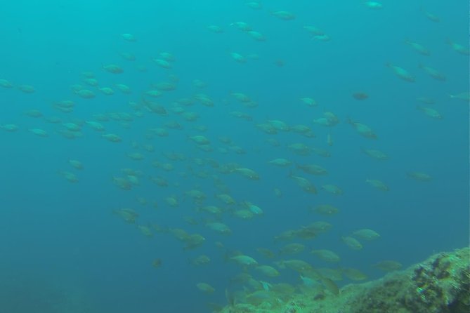 Bubble Maker (Scuba Diving for Children) - About Your Stay