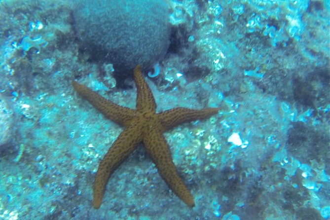 Bubble Maker (Scuba Diving for Children) - Tour Features
