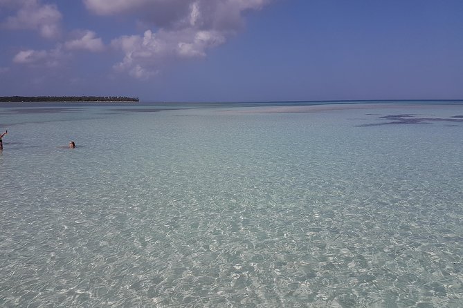 Buccoo Reef and Nylon Pool Adventure - Tour Highlights and Experiences