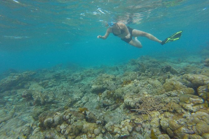Buccoo Reef and Nylon Pool Adventure - Booking Policies and Cancellations
