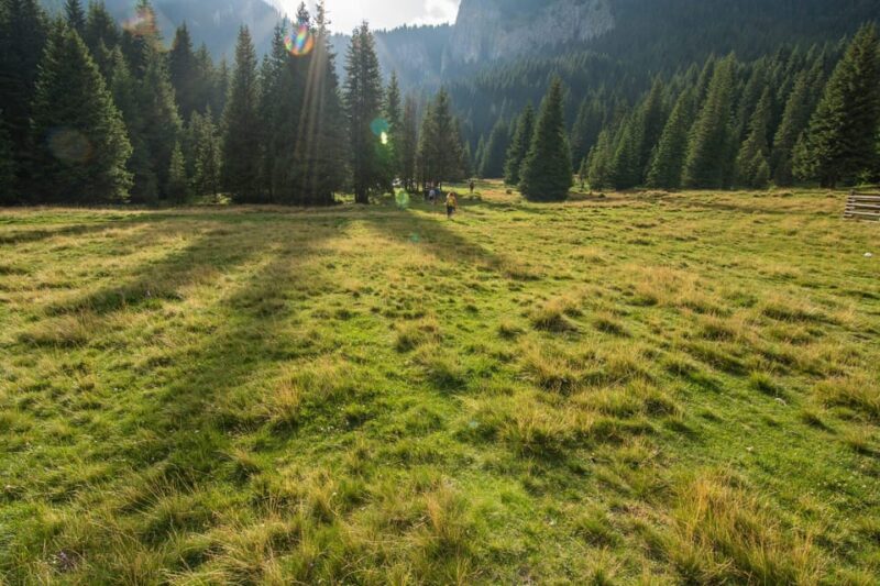 Bucegi Mountains: Private Hiking Day - Key Points
