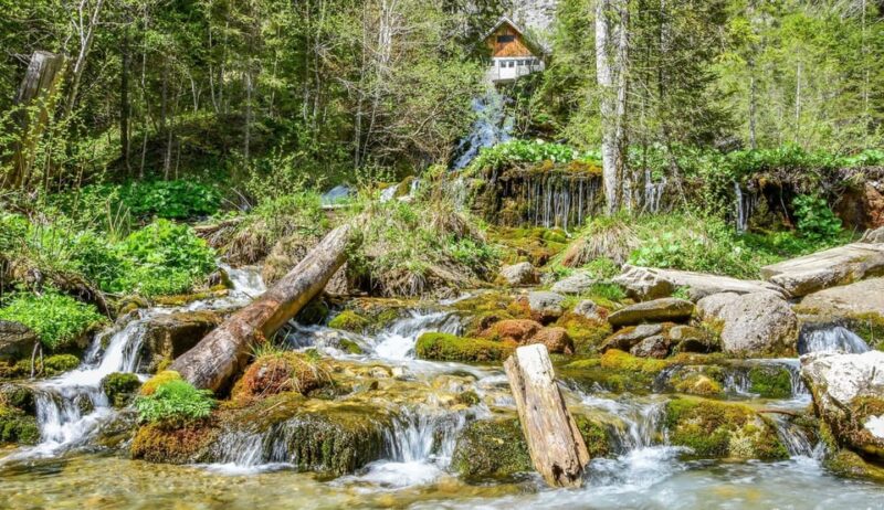 Bucegi Mountains: Private Hiking Day - Inclusions and Logistics