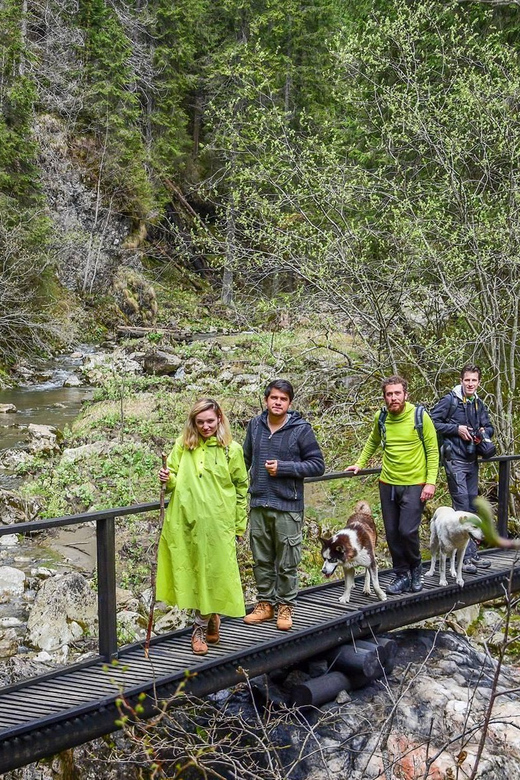 Bucegi Mountains: Private Hiking Day - Participant Restrictions