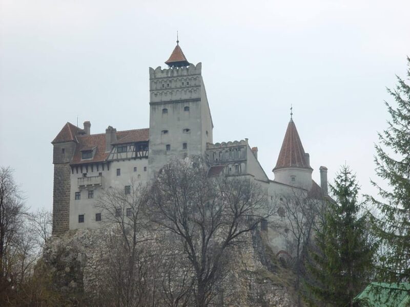 Bucharest: Bran Castle Day Trip With BMW 7 Series - Transportation and Comfort