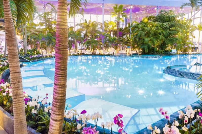 Bucharest: Bucharest Therme Transfer and Full-Day Access - Key Points