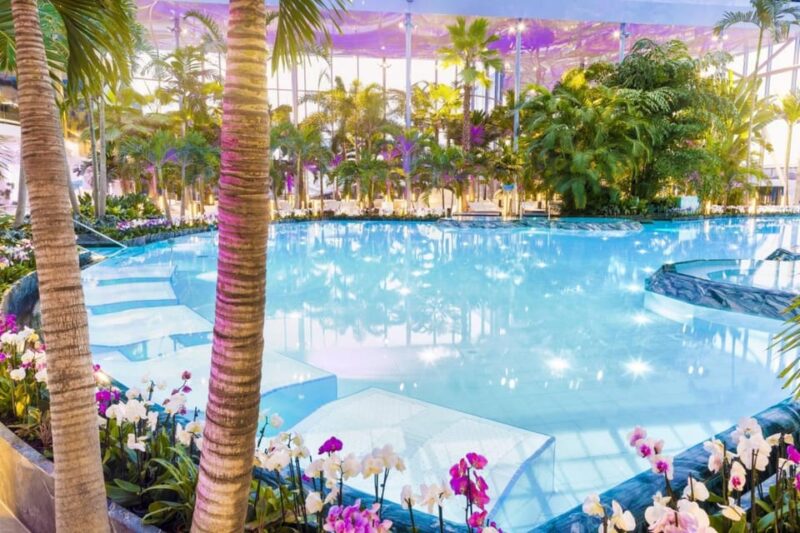 Bucharest: Bucharest Therme Transfer and Full-Day Access - Spa Features