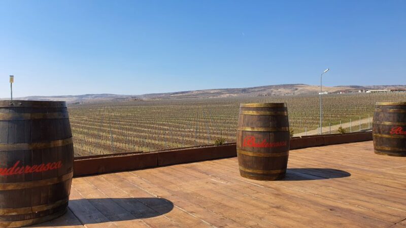 Bucharest: Dealu Mare Winery Private Trip With Wine Tasting - Key Points