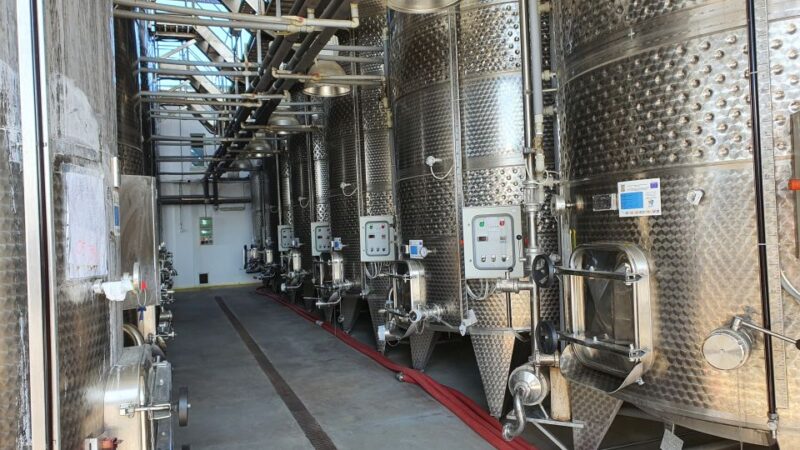 Bucharest: Dealu Mare Winery Private Trip With Wine Tasting - Customer Feedback
