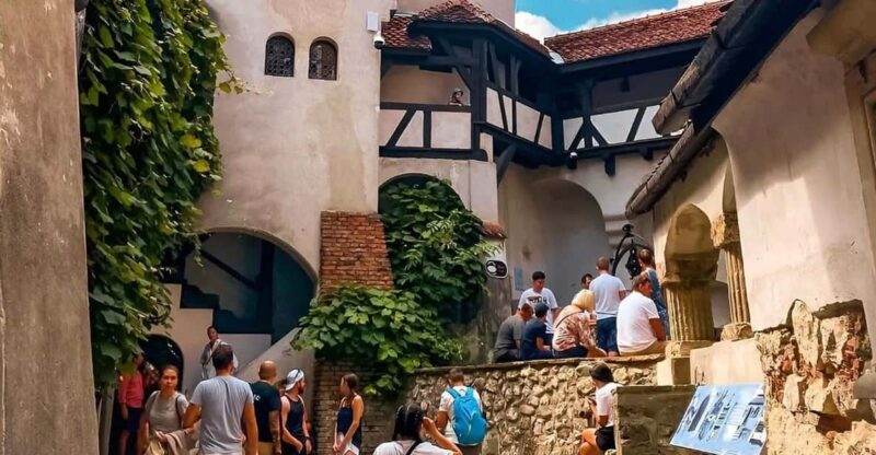 Bucharest: Draculas Castle and Dino Park Day Tour - Key Points