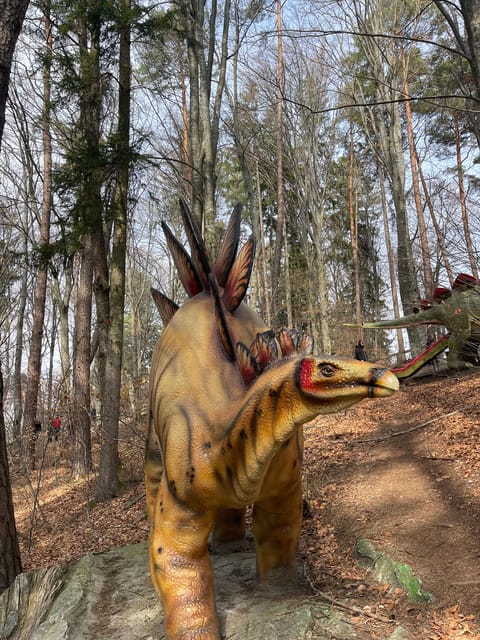 Bucharest: Draculas Castle and Dino Park Day Tour - Itinerary Details