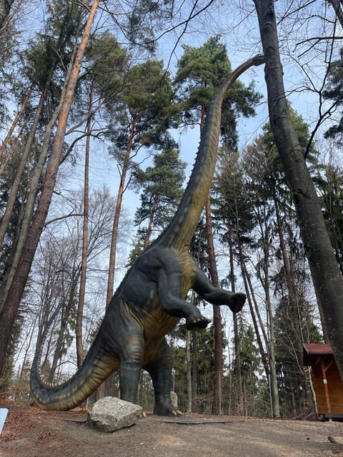 Bucharest: Draculas Castle and Dino Park Day Tour - Visiting Rasnov Fortress or Dino Park
