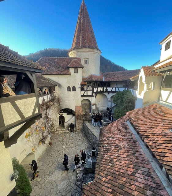 Bucharest: Draculas Castle and Dino Park Day Tour - Important Information