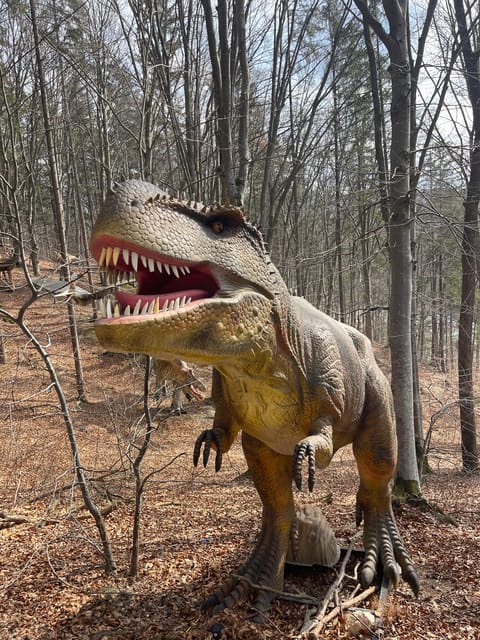 Bucharest: Draculas Castle and Dino Park Day Tour - Frequently Asked Questions