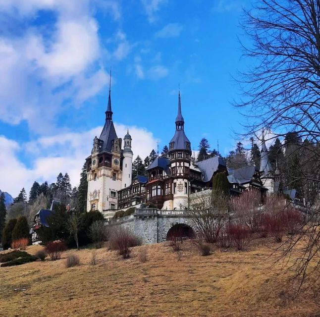 Bucharest: Draculas Castle, Peles Castle and Brasov Rountrip - Itinerary Highlights