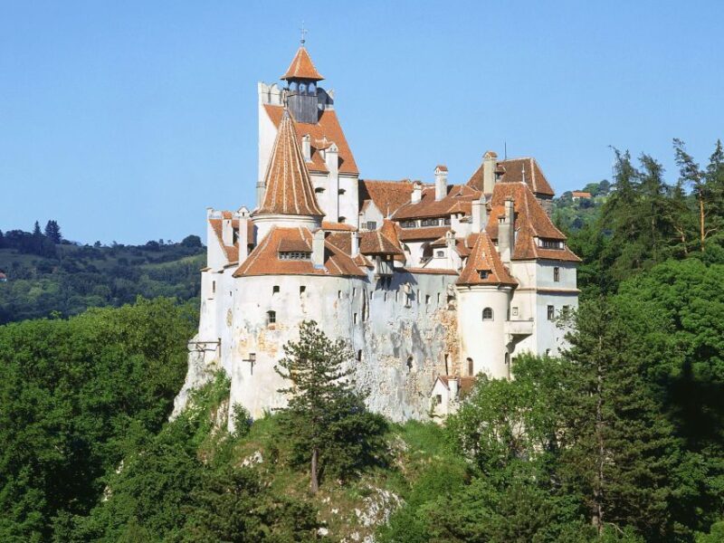 Bucharest: Draculas Castle, Peles Castle, & Brasov Old Town - Inclusions