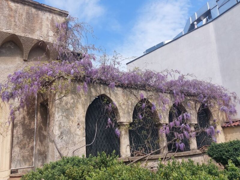Bucharest: Hidden Gems 3-Hour Walking Tour - Practical Information